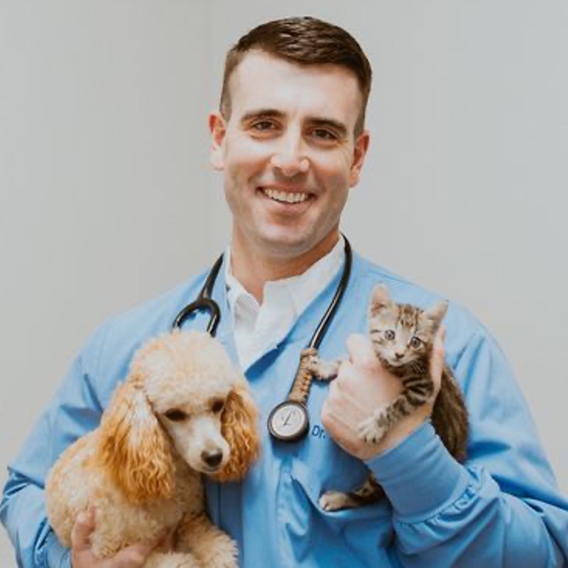 Dr. Carlton